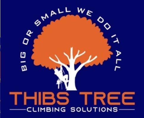 Thibs Tree Climbing Solutions