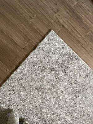 Rug on my new flooring, which is bamboo