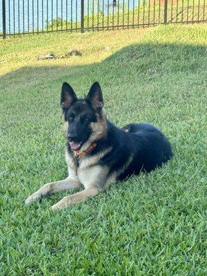 Hillsborough County Pet Resource Center