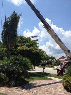 Brookview Landscaping