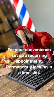 Book your appointment