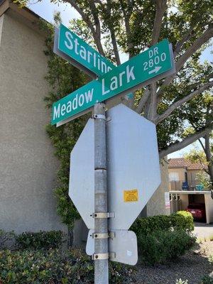 San Diego Juvenile Court 2851 Meadow Lark Dr San Diego CA 92123 US San Diego Juvenile Court 2851 Meadow Lark Dr San Diego CA 92123 US