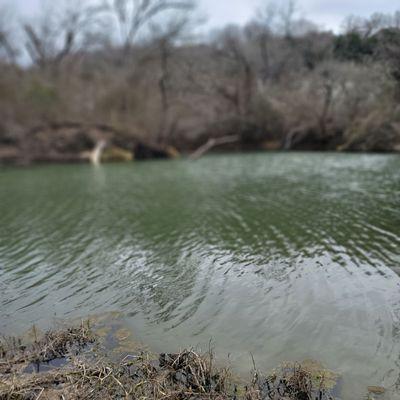 Miller Springs Nature Center