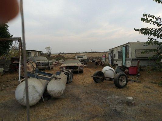 Zoom in next to the red car We spotted it on property last week!