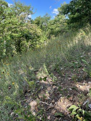 Russell E Emmenegger Nature Park