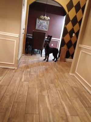 Advanced Flooring Installations