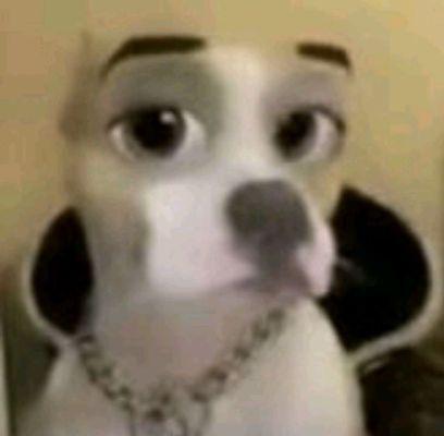 Diana Stevens-RE/MAX Benchmark Realty