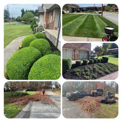 Green Stripes Landscaping