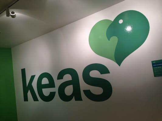 Keas