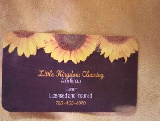 Little Kingdom cleaning