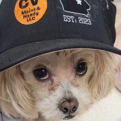 Cedar Valley Maintenance and Handyman Services