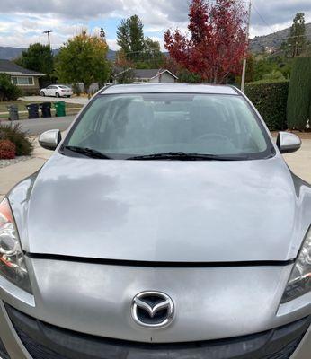 Tiger Auto Body & Paint