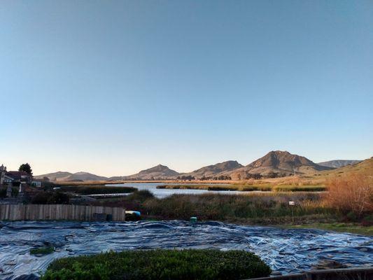 Roxanne Ritzke Tutoring