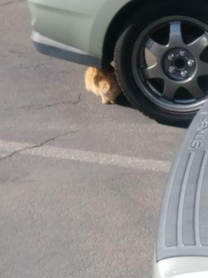 Wishing Well Mobile Home Park