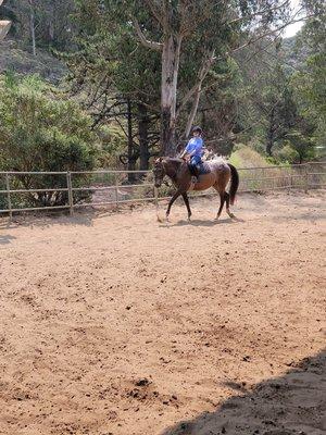 Student working on body positioning at a walk on school horse