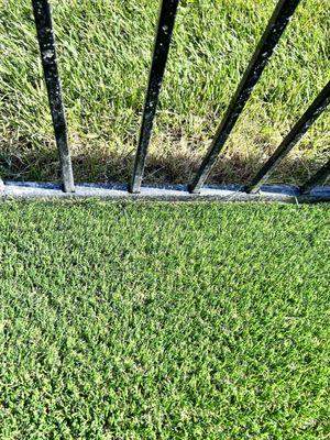 Ace Home & Business Solutions