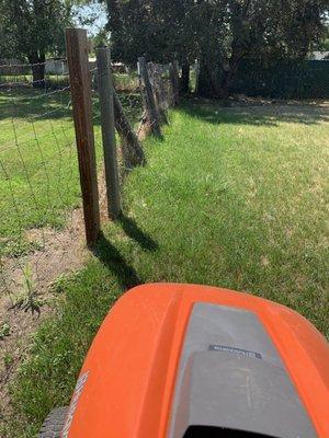 Reyes Family Management