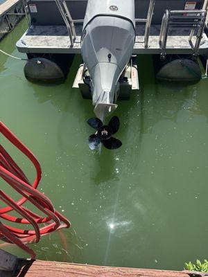 The prop after we brought the boat back