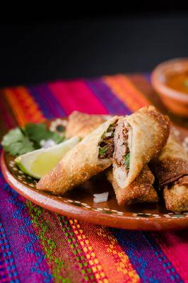 BIRRIA EGG ROLLS
