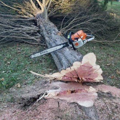 Palmer's Tree Service