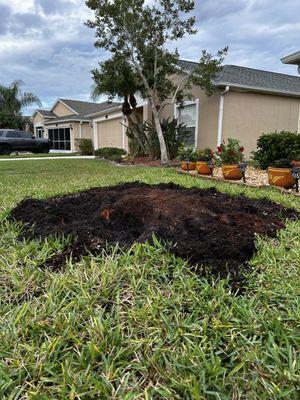 Gonzalez tree service & landscape