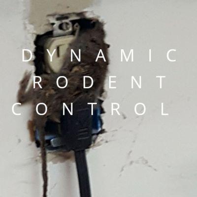 Dynamic Rodent Control
