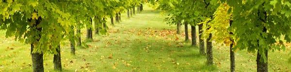 Columbus Sprinkler & Irrigation