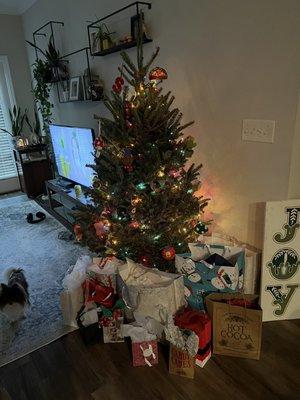 Christmas in our new apartment