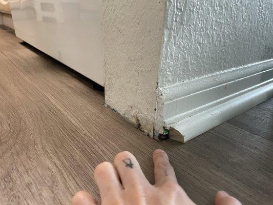 What even is this? Yall just got lazy and didn't finish?