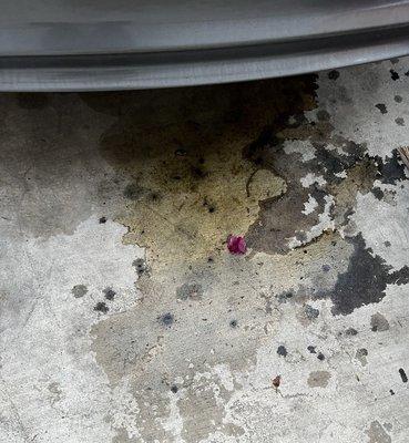 Got a oil change and they forgot to tighten the screws, all the oil leaked out