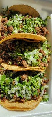 Cilantro Taco Grill