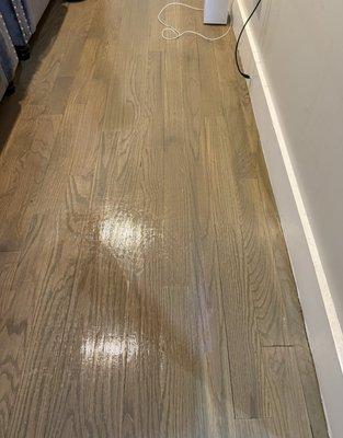 Black Luxury Cleaning