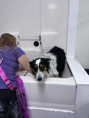 K9 Wash N' Go
