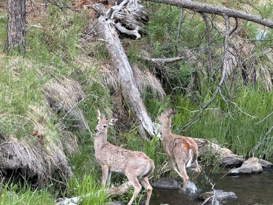 Wildlife Loop State Scenic Byway