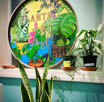 Houseplants for Sale