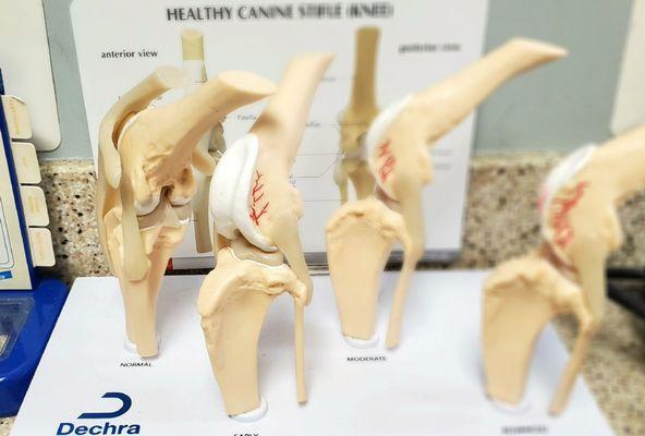 Waugh Chapel Animal Hospital