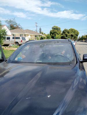 Best & Fast Auto Glass