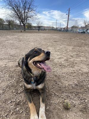 Taylor Ranch Dog Park