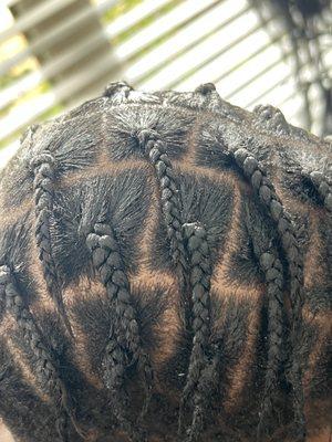 Amamil Braids