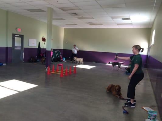 The Nerdy Dog Fitness