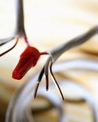 Westchester Electric