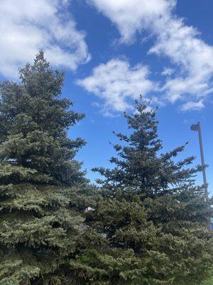 Charlton Landscaping Services