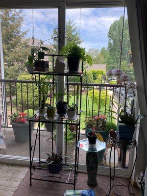 The view through my sliding glass doors. Love it.