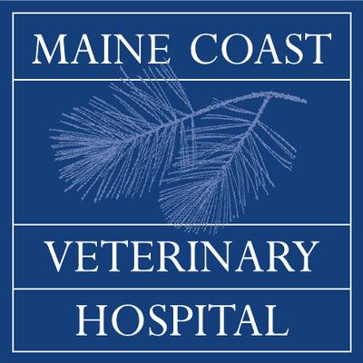 Maine Coast Veterinary Hospital