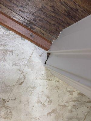 Detomaso Construction