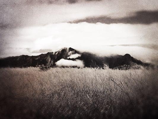 Richard Heidenfelder, MD