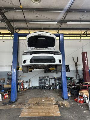 Dan & Dan Import Cars