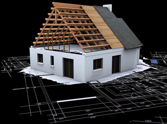 B.L.G. Inspection Service