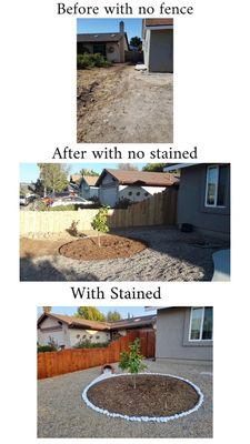 Domingo Pedro Gardening