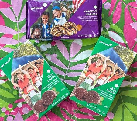 Girl Scouts of Gateway Council